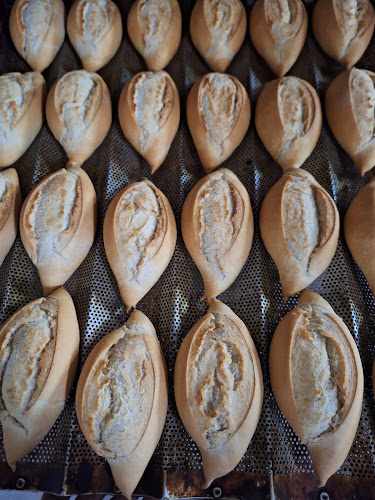 Fotografia tomada fuera de Panadería El Milagro - Panadería en La Laguna, Santa Cruz de Tenerife