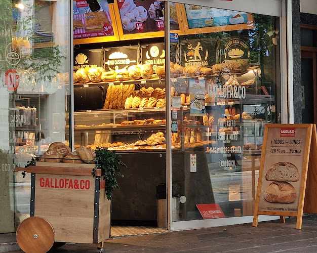 Fotografia tomada fuera de Panadería Gallofa&Co - Panadería en Santander, Cantabria