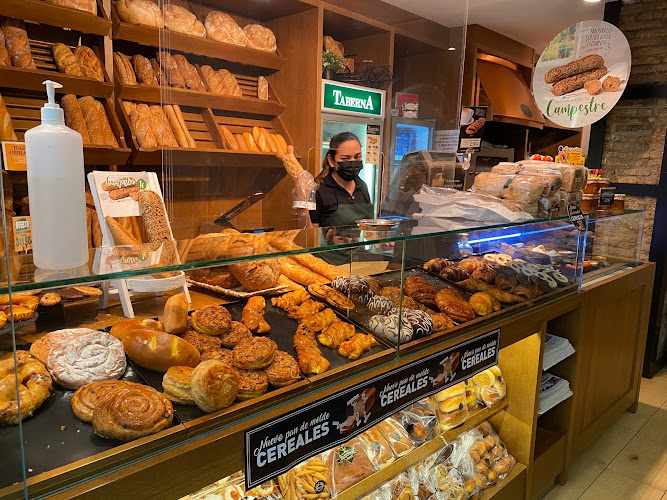 Fotografia tomada fuera de Panaderia Taberna - Panadería en Pamplona, Navarra