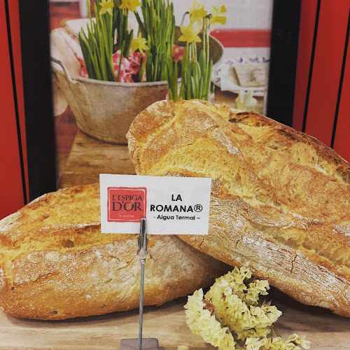 Fotografia tomada fuera de L'Espiga d'Or - Forn de pa en Caldes de Montbui, Barcelona