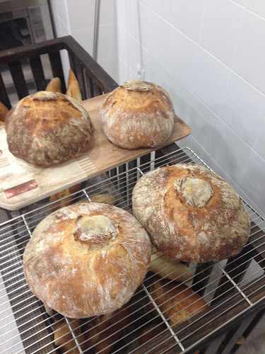 Fotografia tomada fuera de Panboleo - Panadería en Fernán Caballero, Ciudad Real