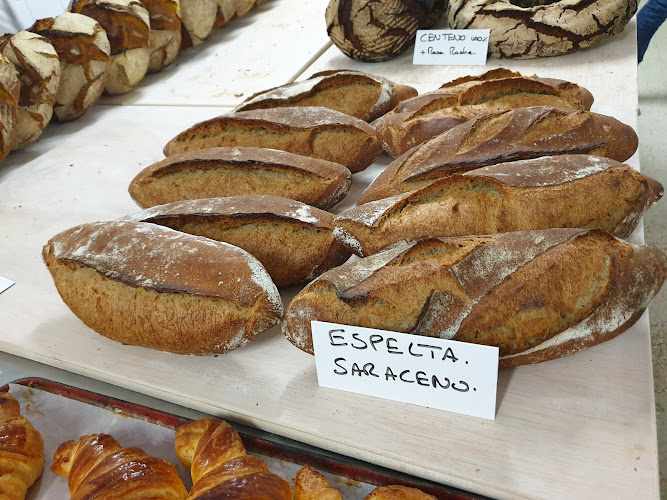 Fotografia tomada fuera de Panadería Peinado - Panadería en Chauchina, Granada