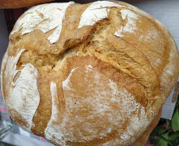 Fotografia tomada fuera de Panadería Isabel - Panadería en Oña, Burgos