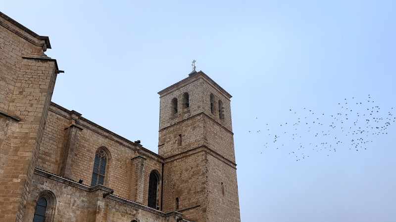 Fotografia tomada fuera de Jesús Escolano Benito - Panadería en Berlanga de Duero, Soria
