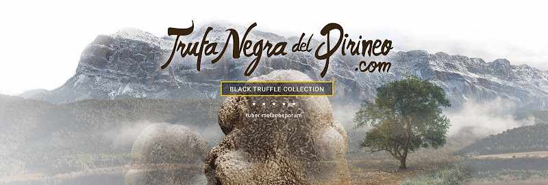 Fotografia tomada fuera de Trufa Negra del Pirineo - Tienda de delicatessen en Aínsa, Huesca
