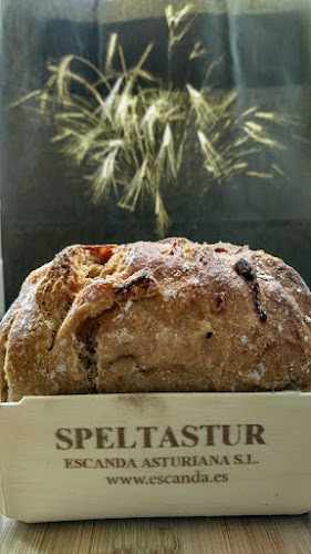 Fotografia tomada fuera de Escanda Asturiana SL-Speltastur - Tienda de alimentos orgánicos en Valle-Zureda, Asturias