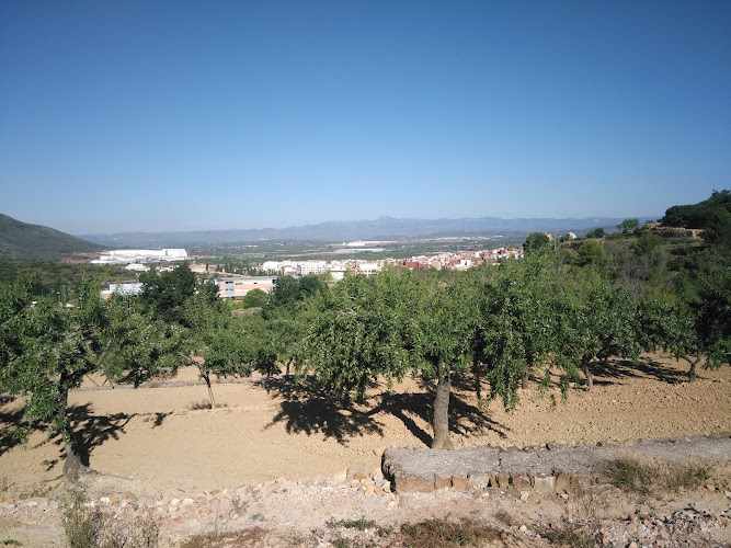 Fotografia tomada fuera de Rafael Albalat Alvado - Panadería en La Serra d'en Galceran, Castellón