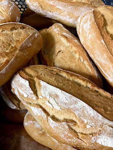 Fotografia tomada fuera de Panadería El Socio - Panadería en El Borge, Málaga