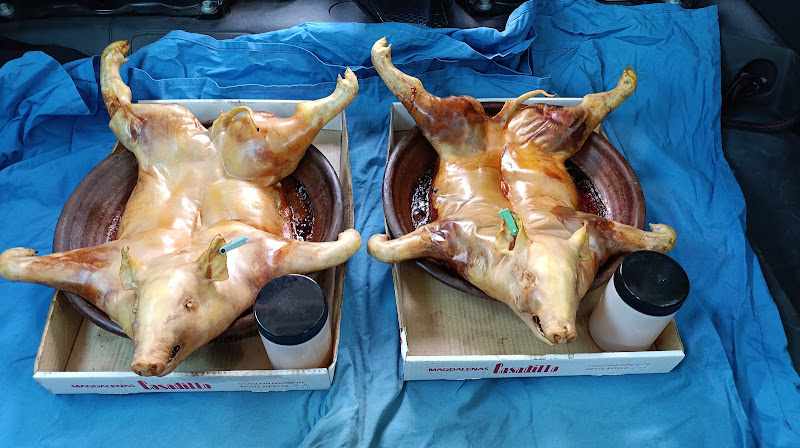 Fotografia tomada fuera de Panadería La Tarja - Panadería en Arévalo, Ávila