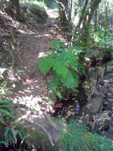 Fotografia tomada fuera de Pastelería Melosa - Pastelería en Gondomar, Pontevedra