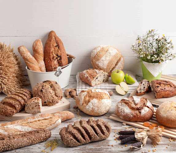 Fotografia tomada fuera de Panamar Valencia - Fabricante de alimentos congelados en Albuixech, Valencia