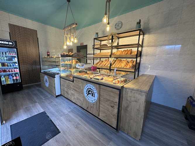 Fotografia tomada fuera de Panadería Bertín Jr - Panadería en Vigo, Pontevedra