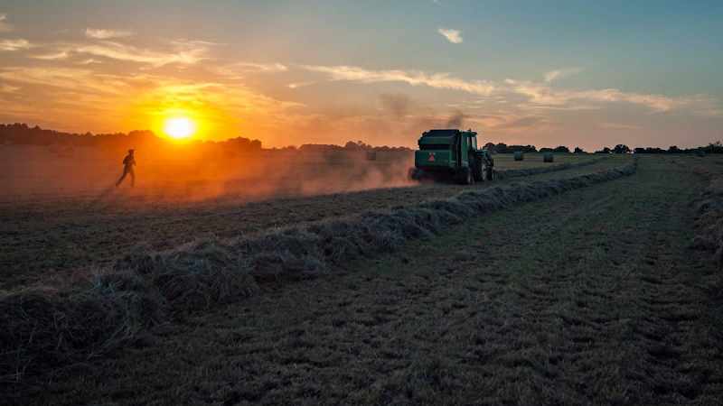 Fotografia tomada fuera de Freshis - Fresh food market en Madrid, Madrid