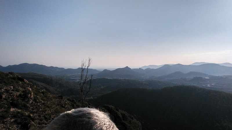 Fotografia tomada fuera de Forn Montagud - Forn de pa en Llocnou de Sant Jeroni, Valencia
