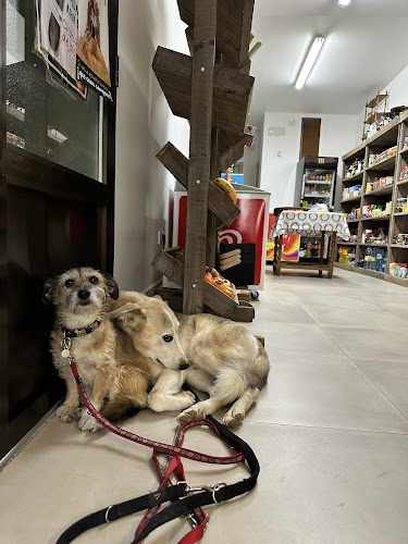Fotografia tomada fuera de Ultramarinos MR 61. Panadería y Supermercado - Tienda de alimentación en Monasterio de Rodilla, Burgos