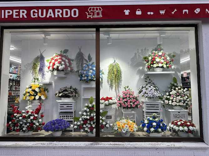 Fotografia tomada fuera de Hiper Guardo - Bazar en Guardo, Palencia
