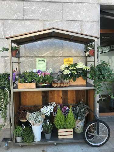 Fotografia tomada fuera de Denda Berri - Tienda de alimentación en Berastegi, Guipúzcoa