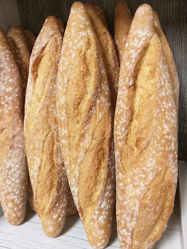 Fotografia tomada fuera de Forn-degustació LELY - Forn de pa en Sant Martí Sarroca, Barcelona