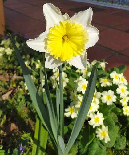 Fotografia tomada fuera de Autoservicio Jolman - Tienda de alimentación en Villanueva, Cantabria