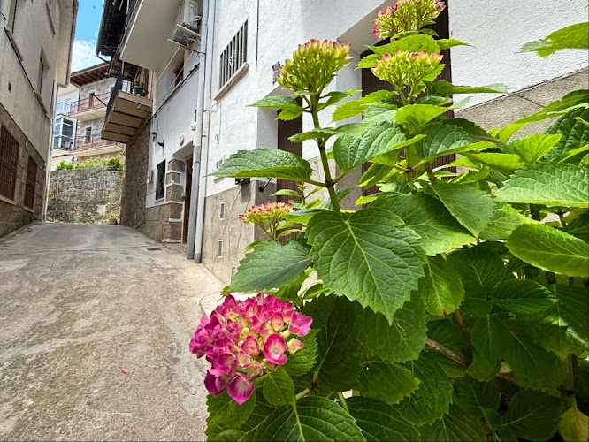 Fotografia tomada fuera de Valle Del Tiétar Natural - Tienda de alimentos naturales en Santa María del Tiétar, Ávila