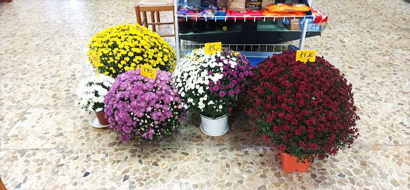 Fotografia tomada fuera de Estanco Santa Maria del Tiétar - Tienda de alimentación en Santa María del Tiétar, Ávila