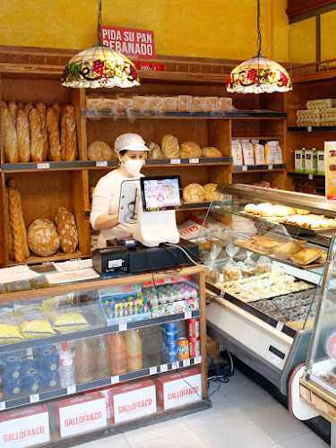 Fotografia tomada fuera de Panadería Gallofa&Co - Panadería en Renedo de Piélagos, Cantabria