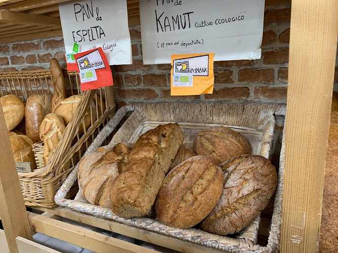 Fotografia tomada fuera de Panadería Serendipia - Panadería en Aranda de Duero, Burgos