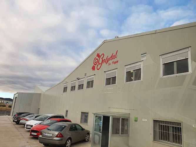Fotografia tomada fuera de Golydul S.L. - Fábrica en Las Berlanas, Ávila